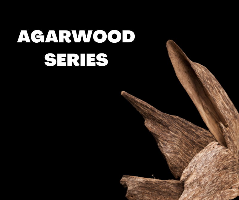 Agarwood Series