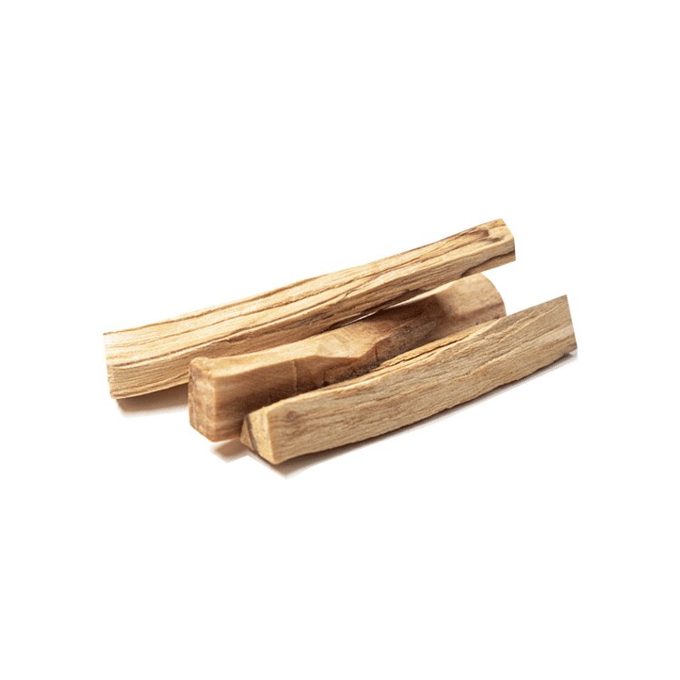 祕魯聖木(Palo Santo)的歷史與使用方法