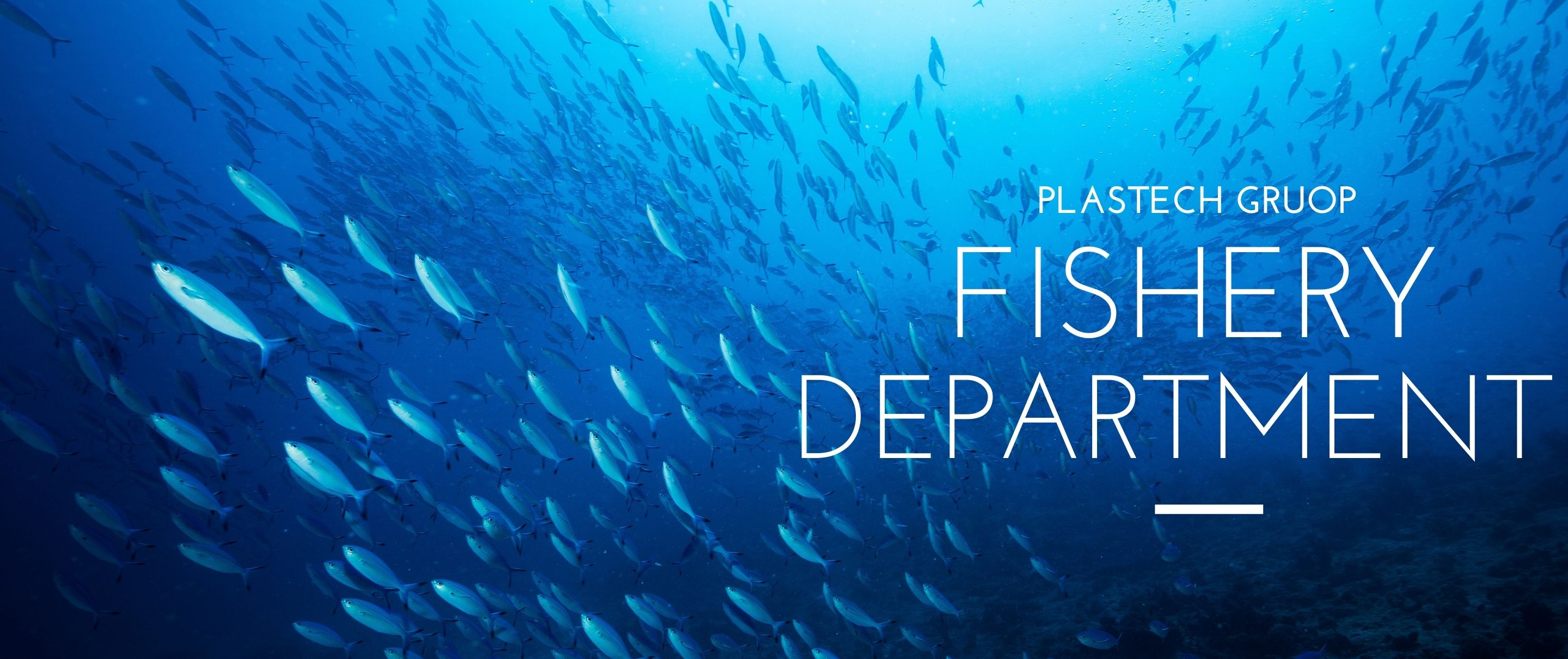 PLASTECH GROUP - FISHERY DEPARTMENT