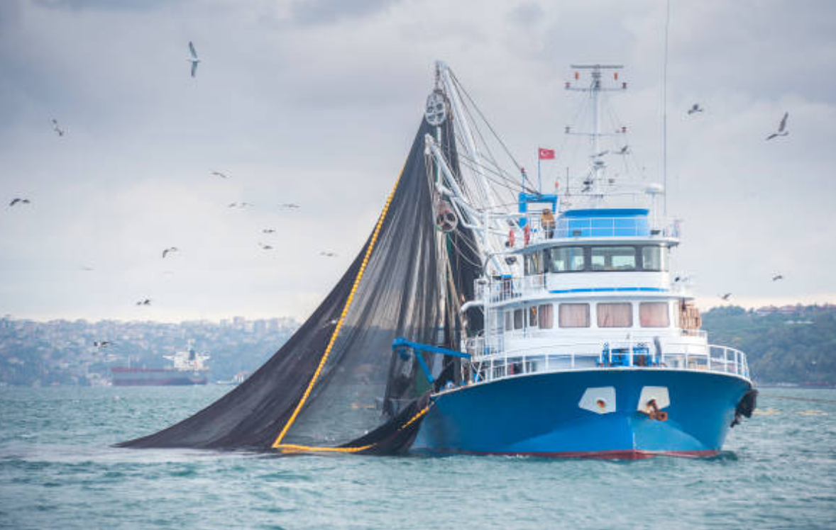 Basics of Purse Seine Fishing